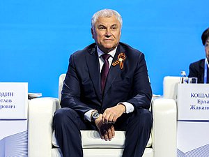 Председатель Государственной Думы Вячеслав Володин