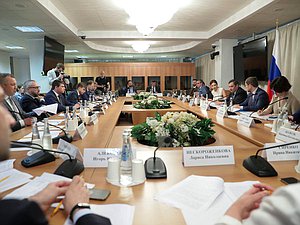 Расширенное заседание Комитета по информационной политике, информационным технологиям и связи