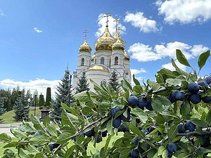 Алексеевка