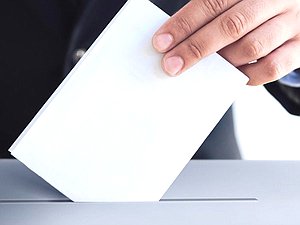 цик голосование выборы