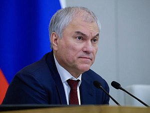 Председатель Государственной Думы Вячеслав Володин