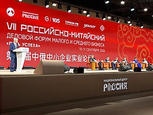 Мельников Российско-китайский форум