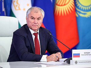 Председатель Государственной Думы Вячеслав Володин