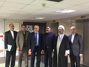 Российские и иранские парламентарии договорились о создании совместной рабочей группы по вопросам энергетики