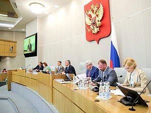Пленарное заседание нейтральное Володин