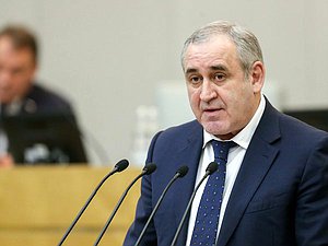 Deputy Chairman of the State Duma Sergei Neverov