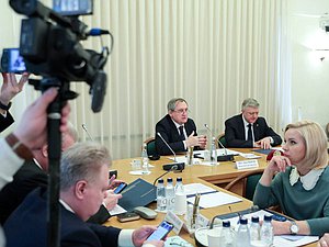 Министр энергетики РФ Николай Шульгинов и член Комитета по государственному строительству и законодательству Дмитрий Вяткин