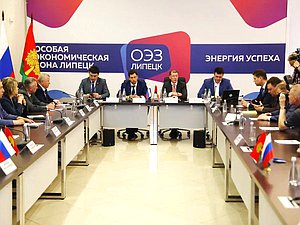 Топилин выездное