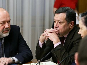 Председатель Комитета по государственному строительству и законодательству Павел Крашенинников и Председатель Комитета по бюджету и налогам Андрей Макаров
