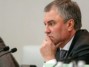 Председатель Государственной Думы Вячеслав Володин