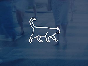 Жестокое обращение с животными