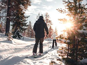 спорт лыжи спортсмен зима