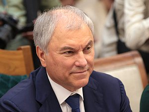 Председатель Государственной Думы Вячеслав Володин