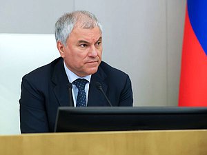 Председатель Государственной Думы Вячеслав Володин