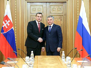 Председатель Государственной Думы Вячеслав Володин и Председатель Национального совета Словацкой Республики Андрей Данко