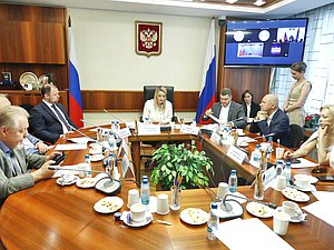 Заседание Комитета по развитию гражданского общества, вопросам общественных и религиозных объединений