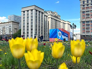 Дума здание весна тюльпаны день победы