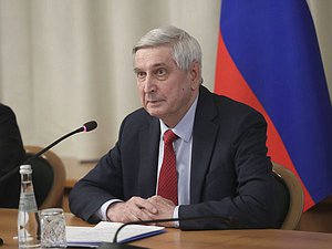 Первый заместитель Председателя ГД Иван Мельников