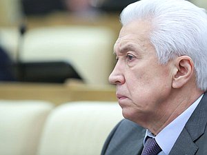 Руководитель фракции «Единая Россия» Владимир Васильев