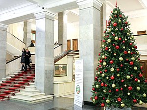 State Duma New Year 2019