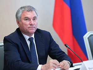 Председатель Государственной Думы Вячеслав Володин
