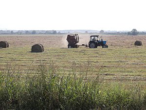 поле осень уборка сено трактор
