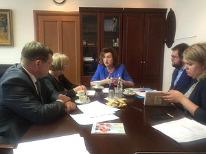 В Комитете по вопросам семьи, женщин и детей состоялась встреча с членами Общественной палаты РФ 