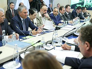 Председатель ГД Вячеслав Володин