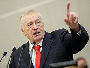 Руководитель фракции ЛДПР Владимир Жириновский