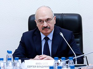Председатель Комитета по науке и высшему образованию Сергей Кабышев