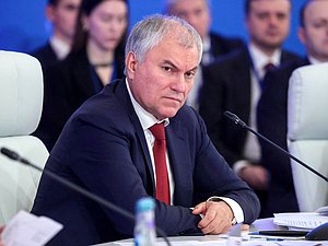 Председатель Государственной Думы Вячеслав Володин