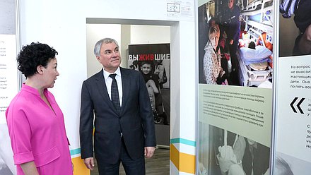 Председатель Государственной Думы Вячеслав Володин и директор фонда «Доктор Лиза» Наталья Авилова