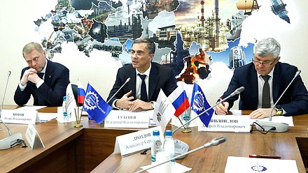 Председатель Комитета по промышленности и торговле Владимир Гутенев