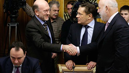 Заседание Совета по инвестициям при Председателе Государственной Думы Федерального Собрания Российской Федерации.