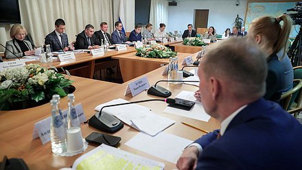 Заседание Комитета по информационной политике, информационным технологиям и связи