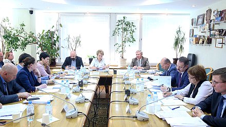 Заседание Комитета по региональной политике и проблемам Севера и Дальнего Востока