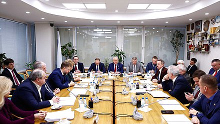 Заседание Комитета по развитию Дальнего Востока и Арктики