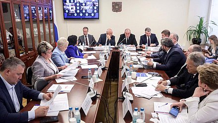 Круглый стол Комитета по делам национальностей на тему «Современные аспекты развития национальных видов спорта в РФ»