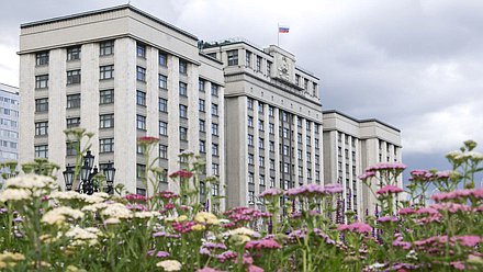 ГД здание нейтральное Госдума Дума улица лето цветы