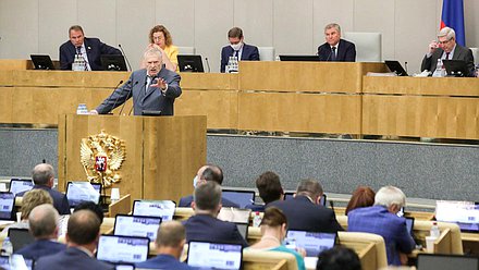 Руководитель фракции ЛДПР Владимир Жириновский