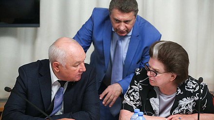 Председатель Комитета по делам национальностей Ильдар Гильмутдинов и заместитель Председателя Комитета по федеративному устройству и вопросам местного самоуправления Валентина Терешкова