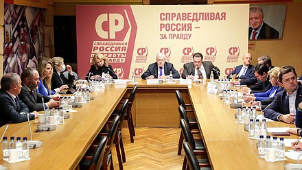 Встреча членов фракции «Справедливая Россия — За правду» с заместителем Председателя Правительства РФ Татьяной Голиковой