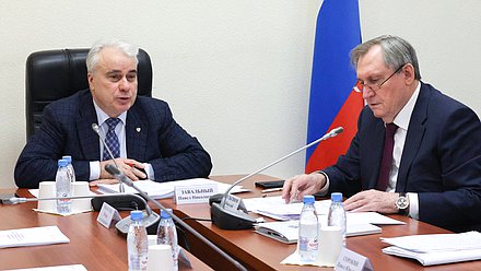 Председатель Комитета по энергетике Павел Завальный и Министр энергетики Николай Шульгинов