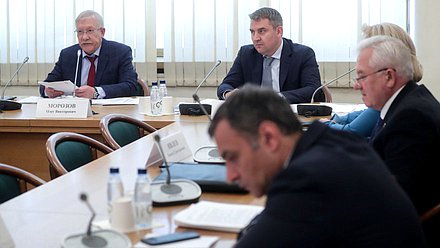Председатель Комитета по контролю Олег Морозов и заместитель Председателя Комитета Дмитрий Ламейкин