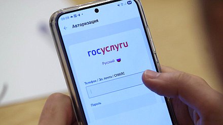 телефон смартфон госуслуги