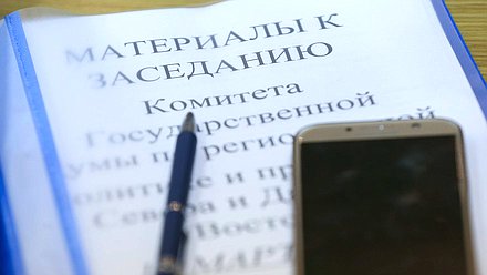 Заседание Комитета по региональной политике и проблемам Севера и Дальнего Востока