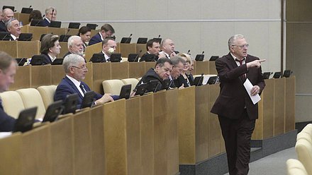 Руководитель фракции ЛДПР Владимир Жириновский
