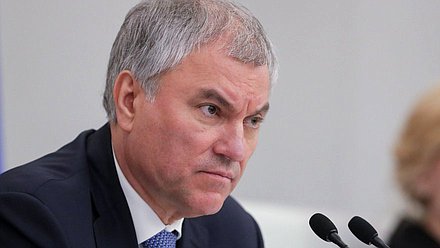 Председатель Государственной Думы Вячеслав Володин