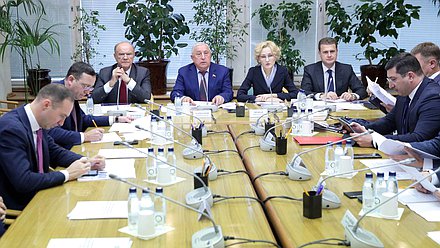 Заседание Комитета по развитию Дальнего Востока и Арктики