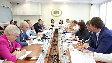 Заседание рабочей группы Комитета по физической культуре и спорту по рассмотрению в Государственной Думе проектов федеральных бюджетов и их корректировке на очередной финансовый и плановый год